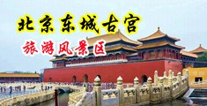 爆乳裸体美女操B中国北京-东城古宫旅游风景区